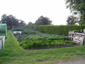 Allotments